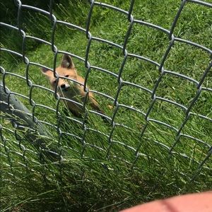 Meet your Posher, Janea